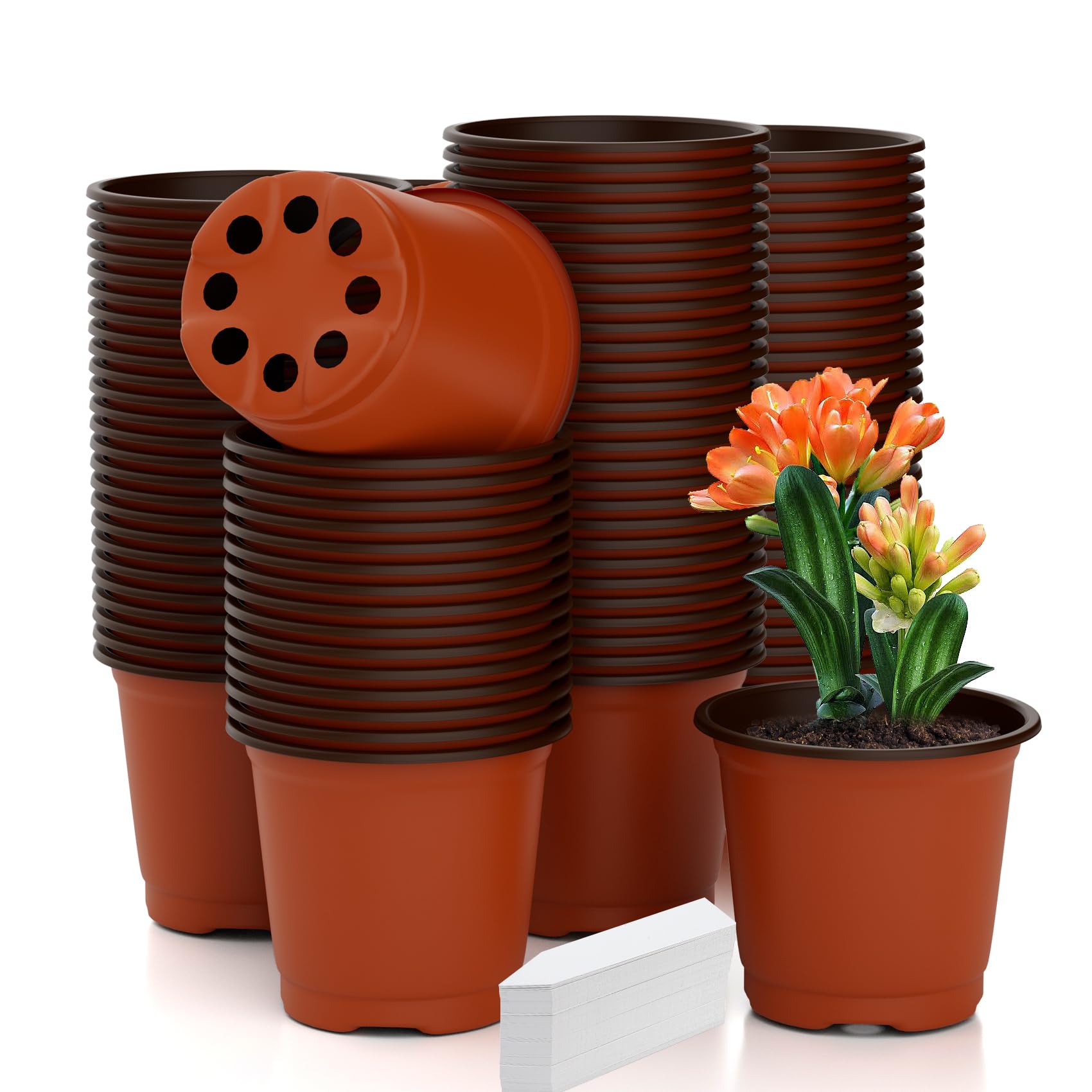 POT SRL CE-PLANT NEIGHBORHOOD 公式通販 ⁄ DEN-4M DEN-4L